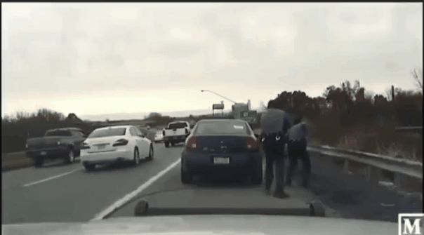 1 1 kjdfbkoilpol.gif