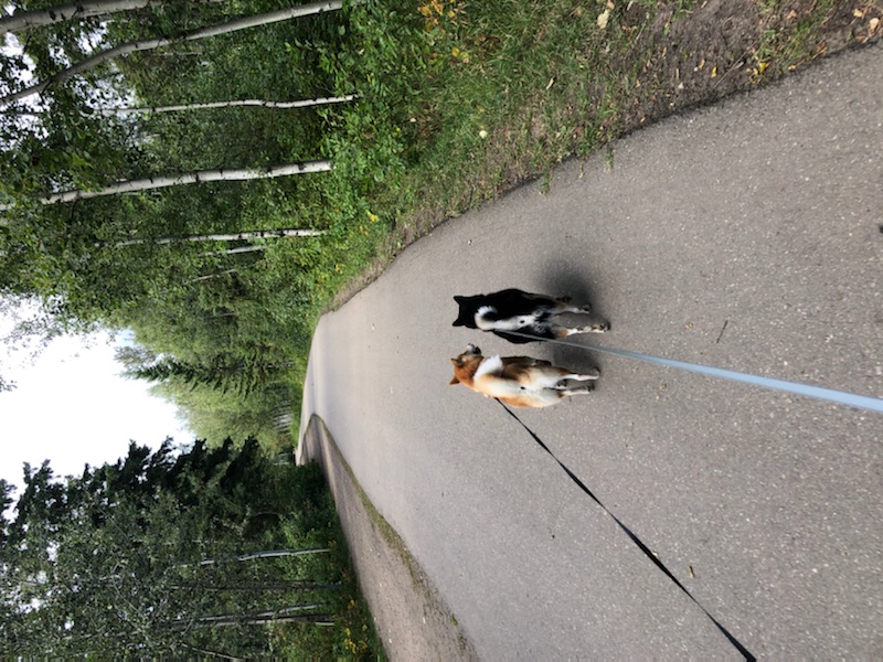 IMG_0073.jpeg