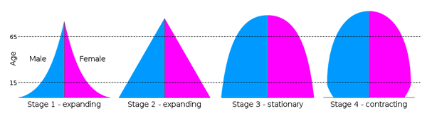population-pyramid-stages-sm.png