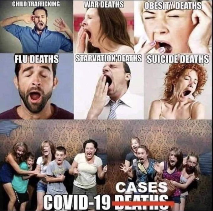 Casedemic.jpg