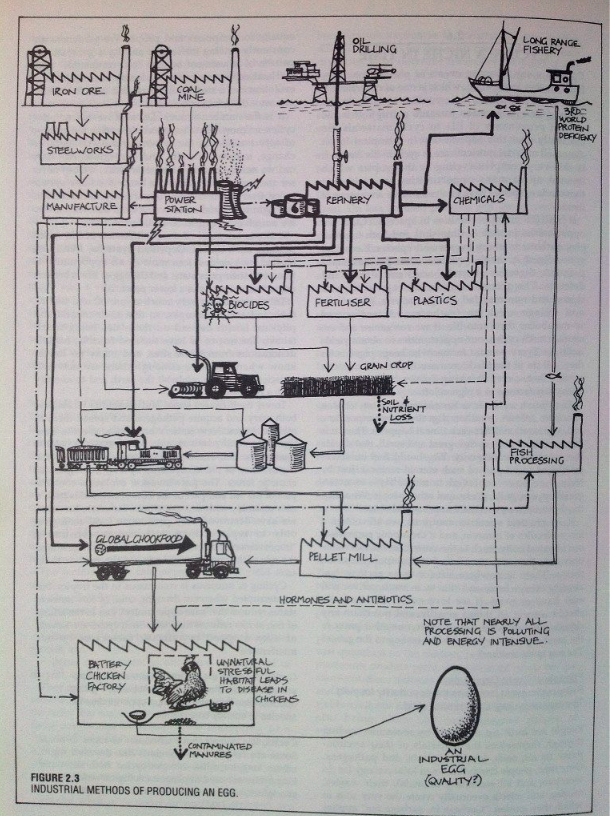 Industrial egg.png