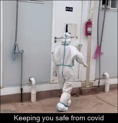 CCP-covid-kennels.gif