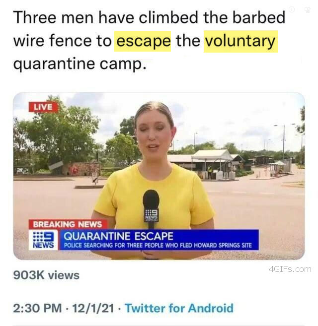 Escape-voluntary-camp.jpg