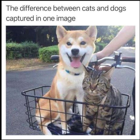 Capture.JPG