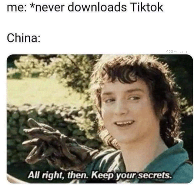 Tiktok-Frodo.png
