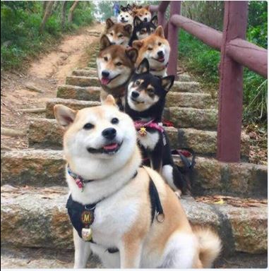Capture.JPG