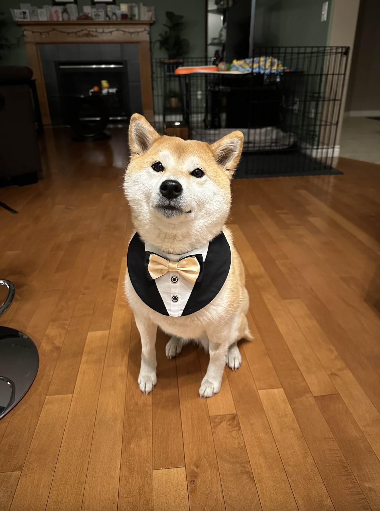 miso.jpg
