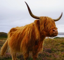 Screenshot 2025-02-15 133914.jpg