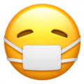 face-with-medical-mask_1f637.png