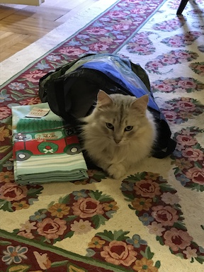 chai in bag copy.jpg