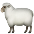 sheep_1f411.png