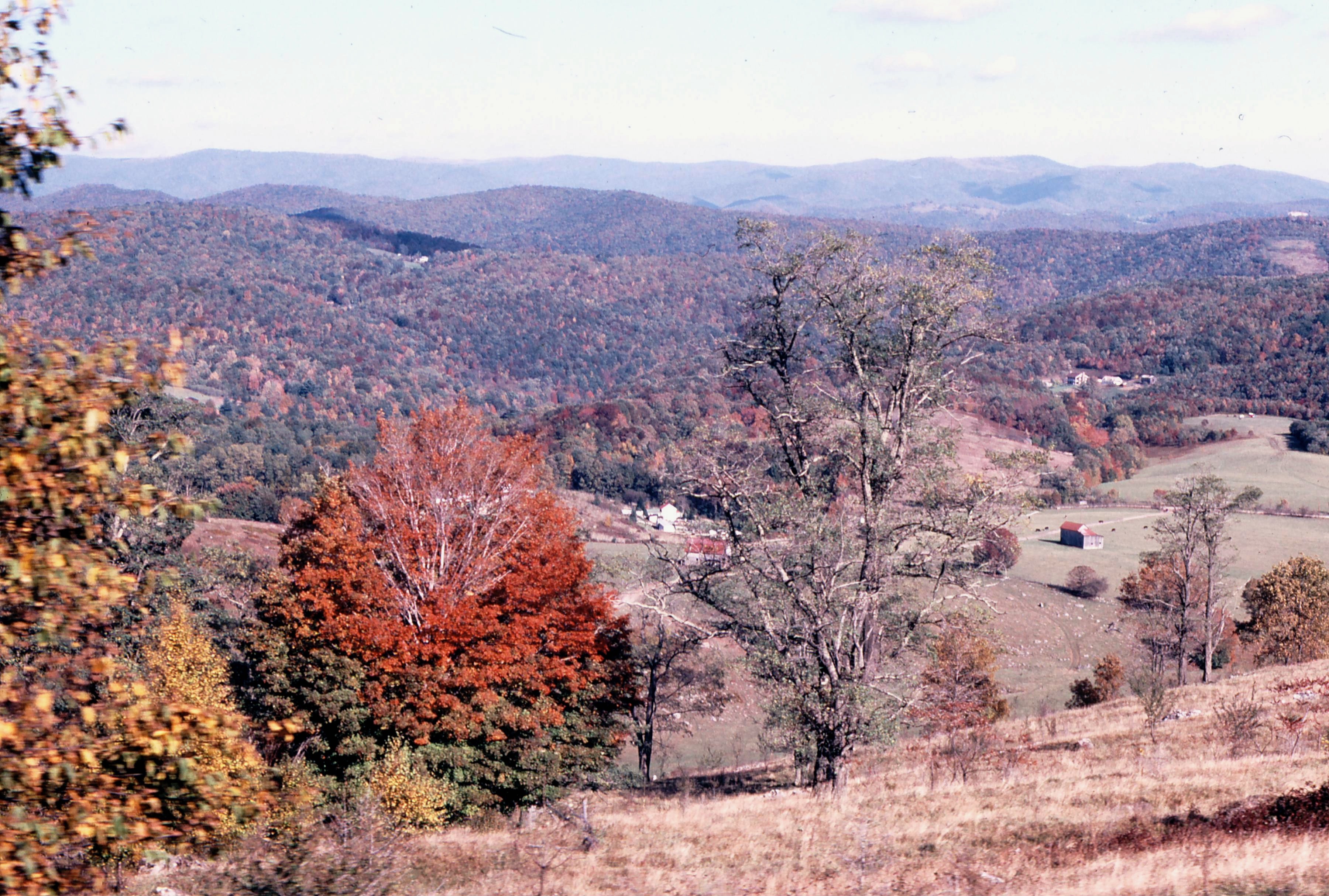 WV.jpeg