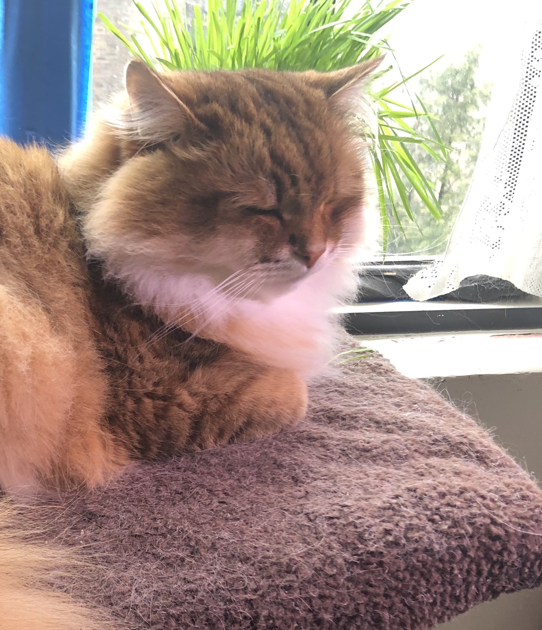 2020-04-26 15.12.01-1.jpg