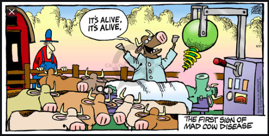 Mad Cow Disease.png
